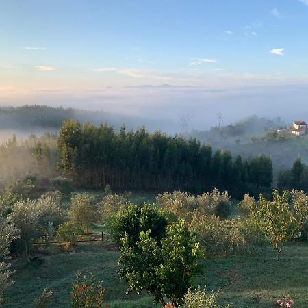Quinta Lagares Hotell Penacova Exteriör bild