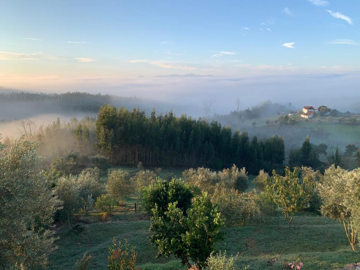 Quinta Lagares Hotell Penacova Exteriör bild
